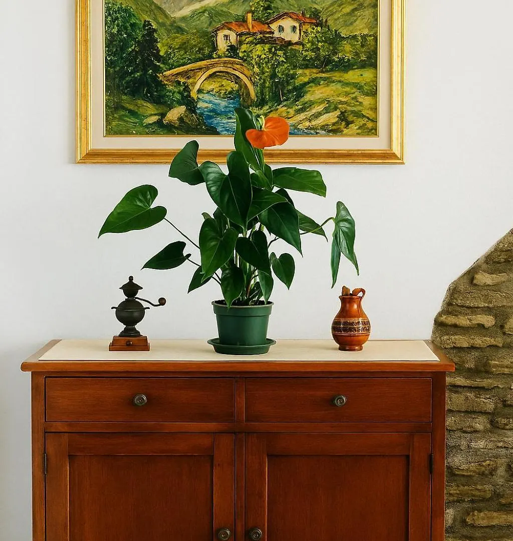 Appartamento Casa Buon Vento Levanto Italia